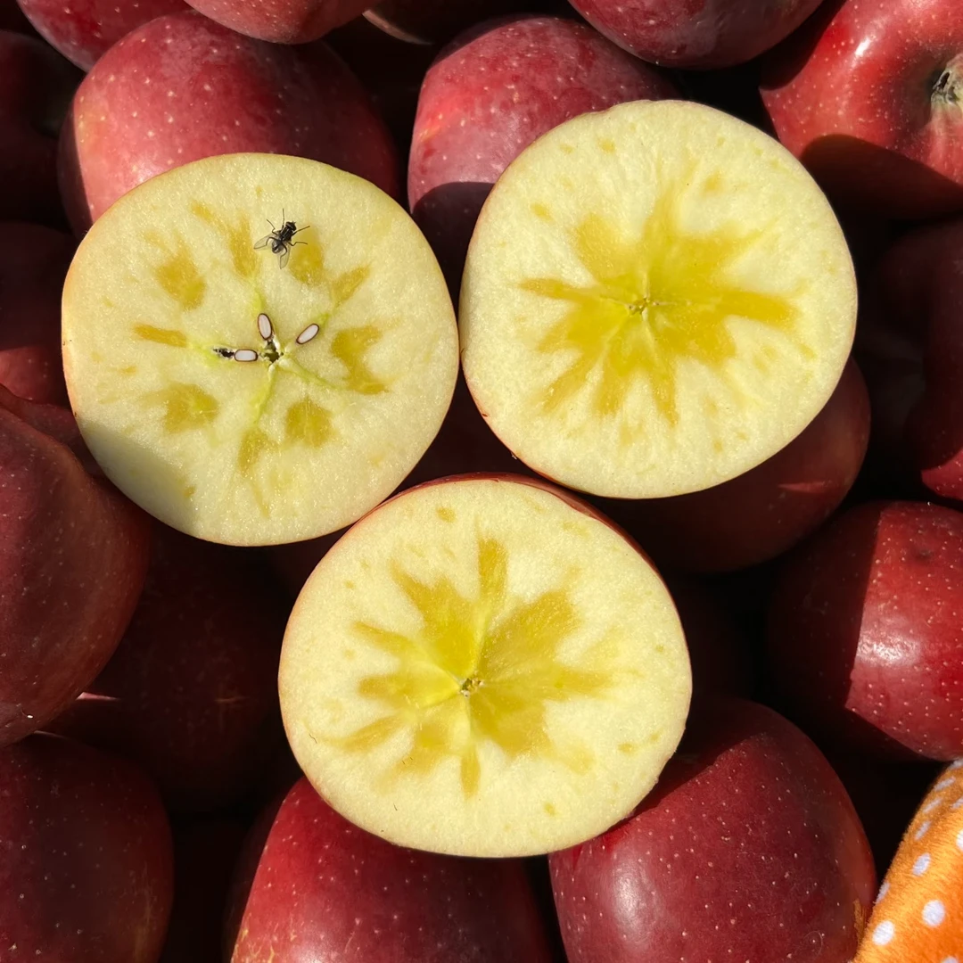 云南昭通丑苹果4个2斤左右云南省