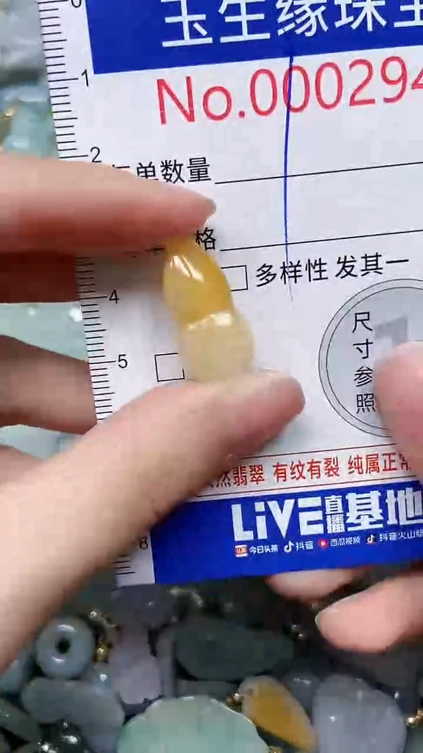 【闪购商品】翡翠颈饰未镶嵌闪购00002944