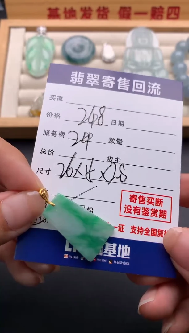 翡翠18K金镶嵌颈饰10136963