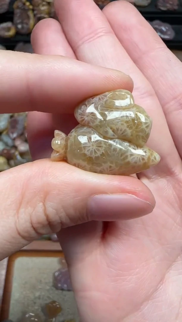 颈饰未镶嵌硅化珊瑚（珊瑚玉）603