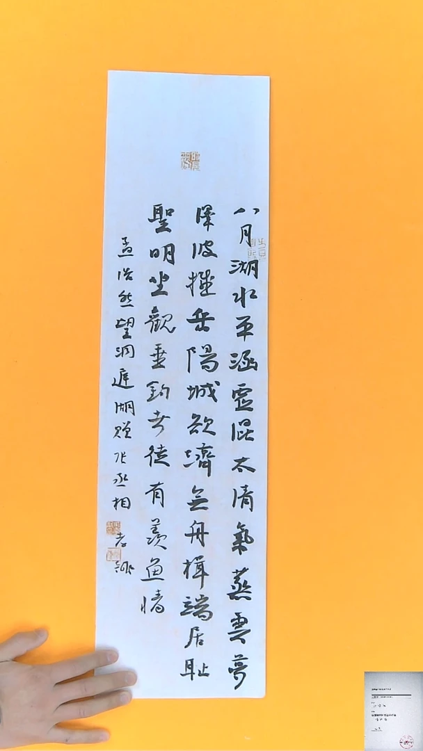 【闪购商品】书法江孝龙书法作品望洞庭湖17*69