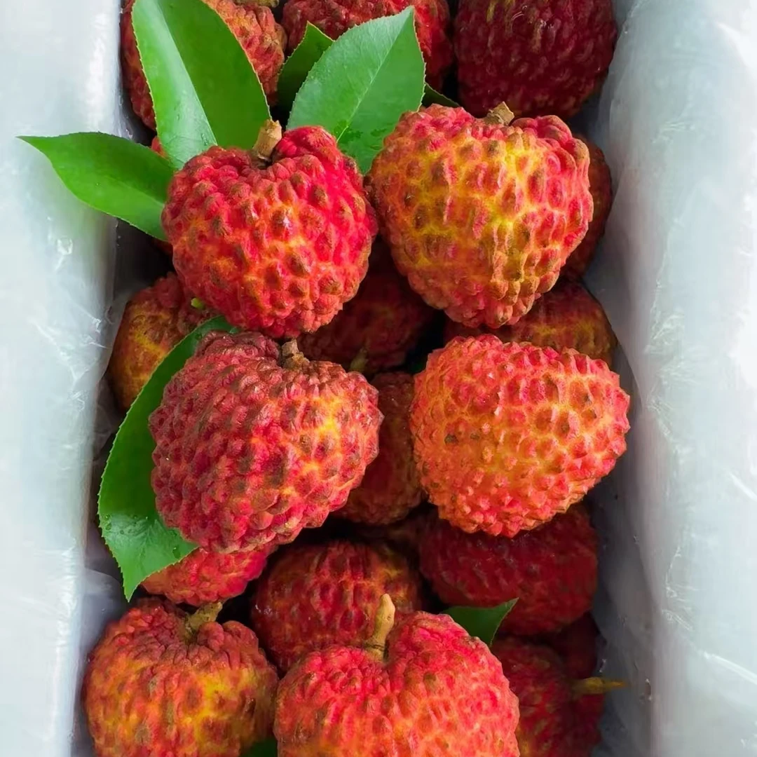 【1斤±30g】荔枝王1斤荔枝海南省