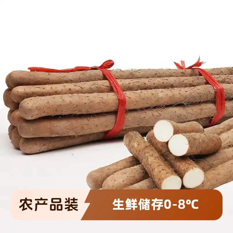 内蒙古阿拉善泡水料