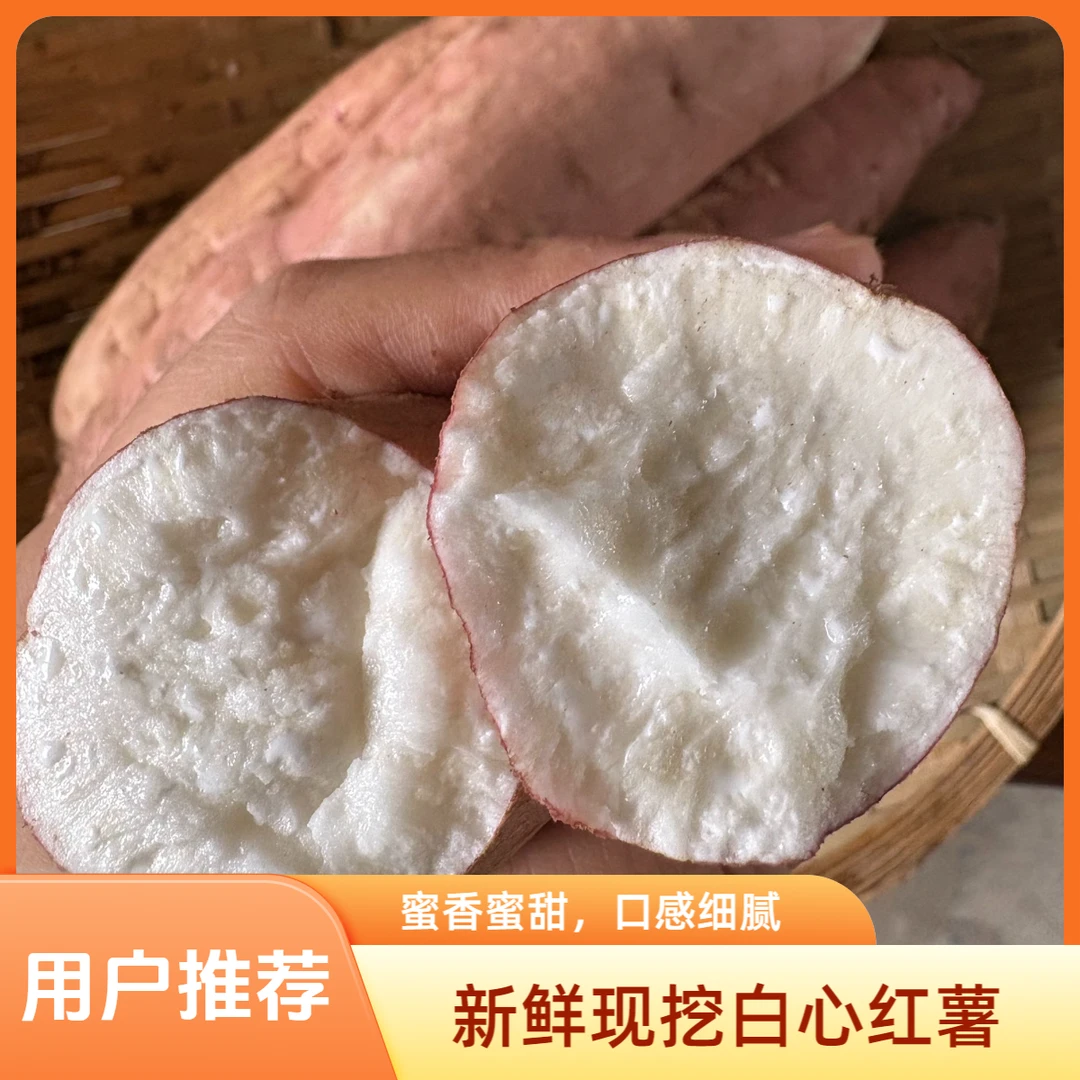 原生态白哈密蜜薯 孕妇宝妈辅食 白哈密薯天津市