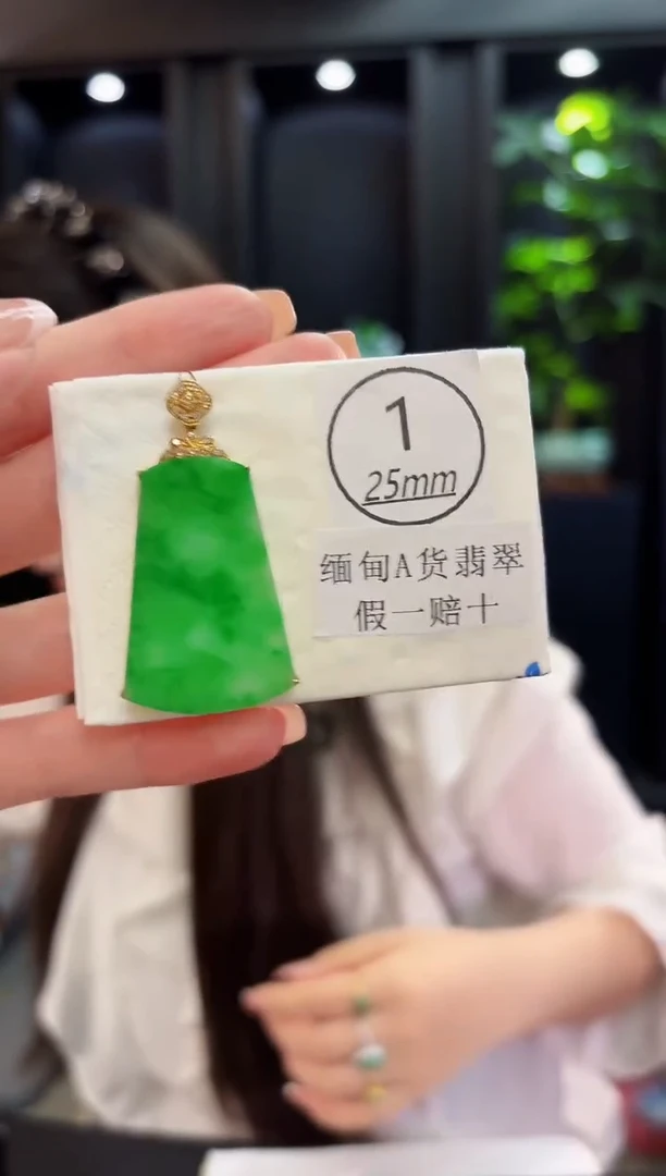 颈饰18K金镶嵌翡翠 缅料A货/支持复检/一件