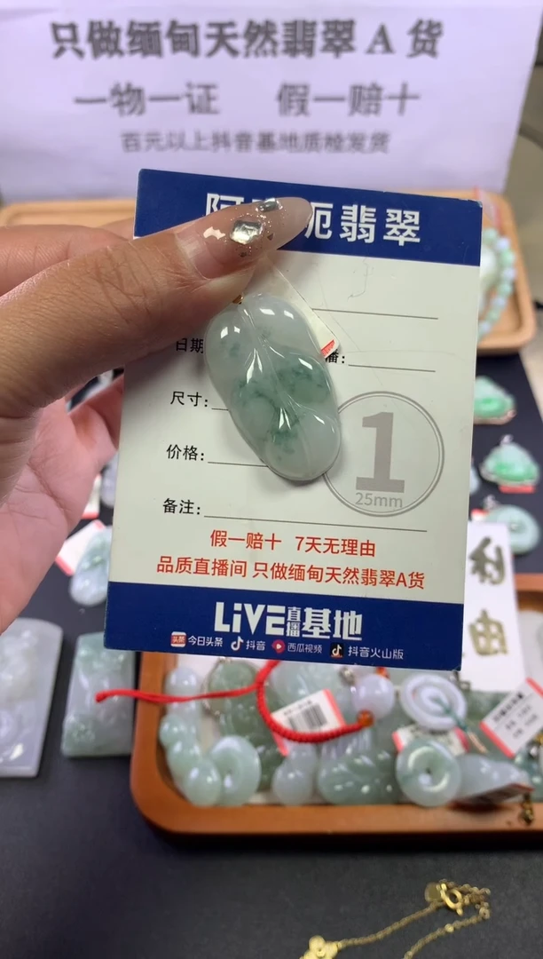 颈饰未镶嵌翡翠1