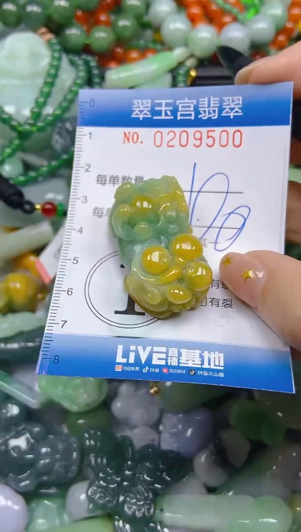 颈饰未镶嵌翡翠闪购C0209500