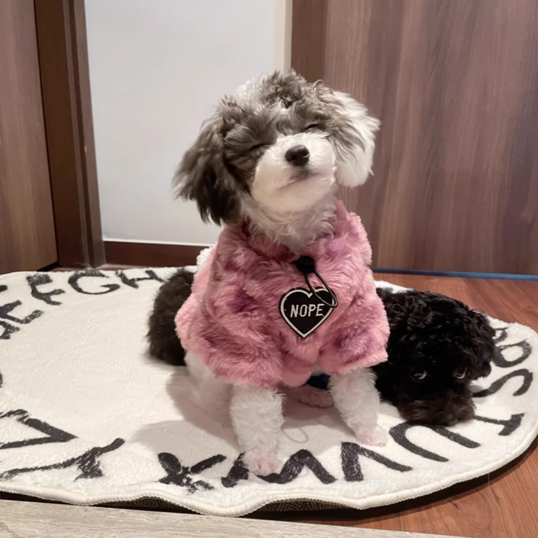 狗狗衣服粉色豹纹秋冬款厚毛绒可爱宠物保暖卫衣比熊泰迪猫咪衣服