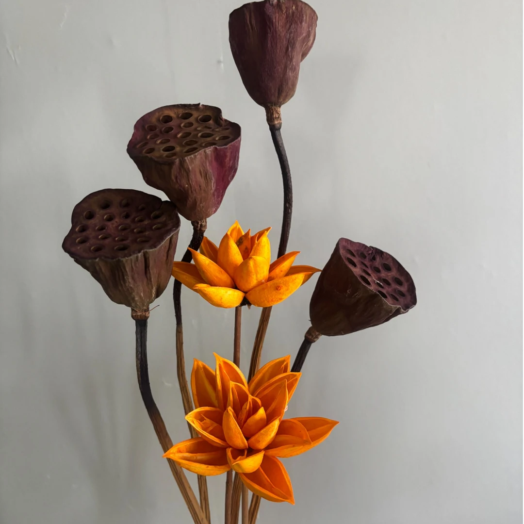 【禅意手工莲花】纯天然禅意莲蓬干花 莲花/小南瓜干果