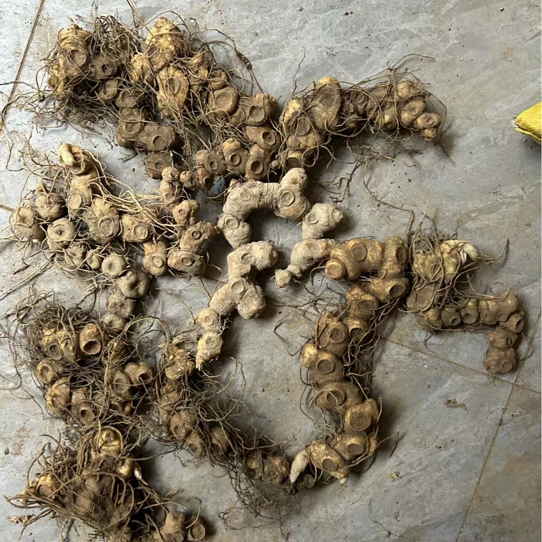 湖南新化 初级农产品 高山特产 九蒸九晒