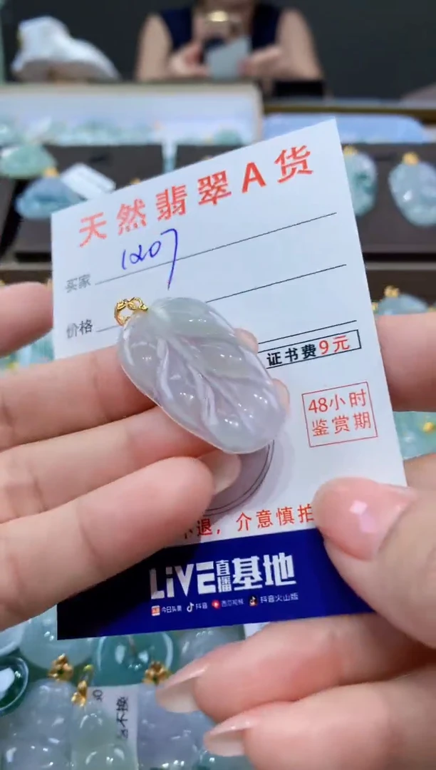 颈饰未镶嵌翡翠天然翡翠A货挂件