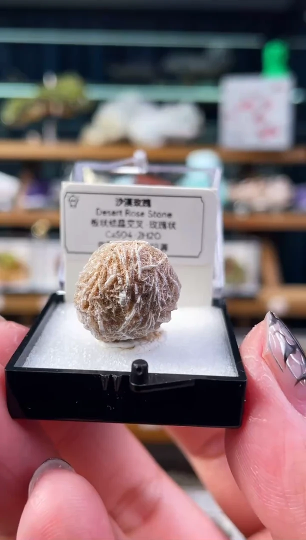 石材阿拉善沙漠玫瑰