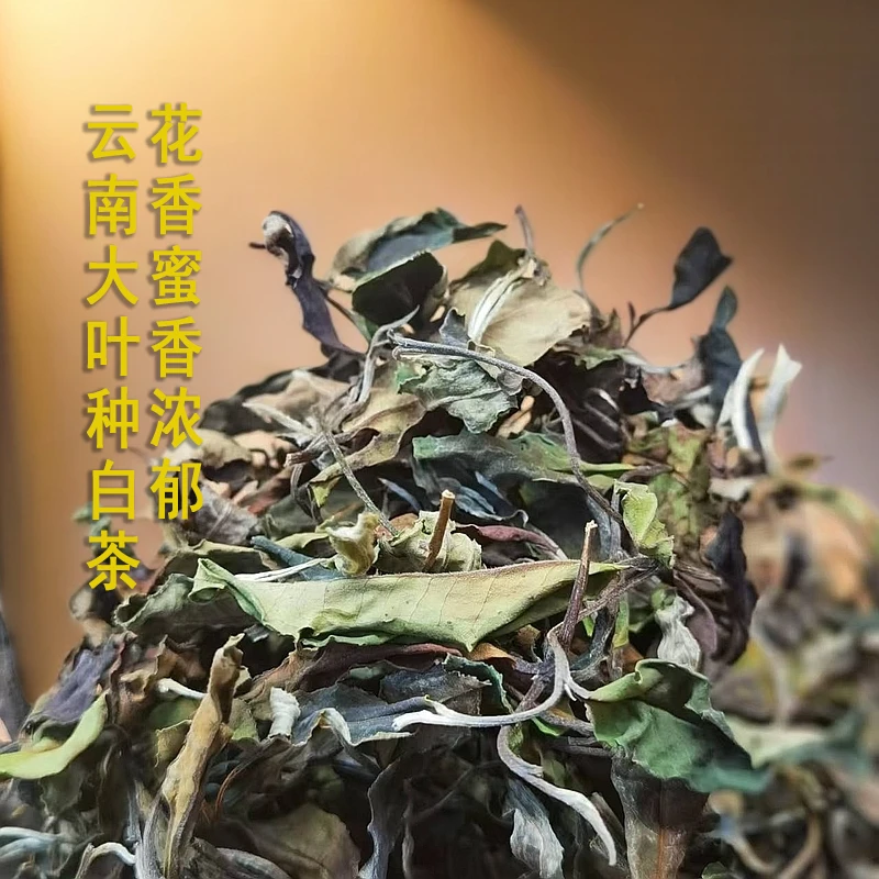 弯弓古树白茶 花香甜润 2024年 散茶（丹丹普洱茶）