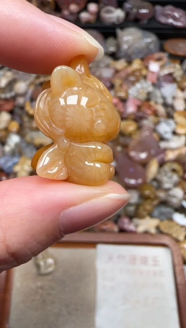 颈饰未镶嵌硅化珊瑚（珊瑚玉）657