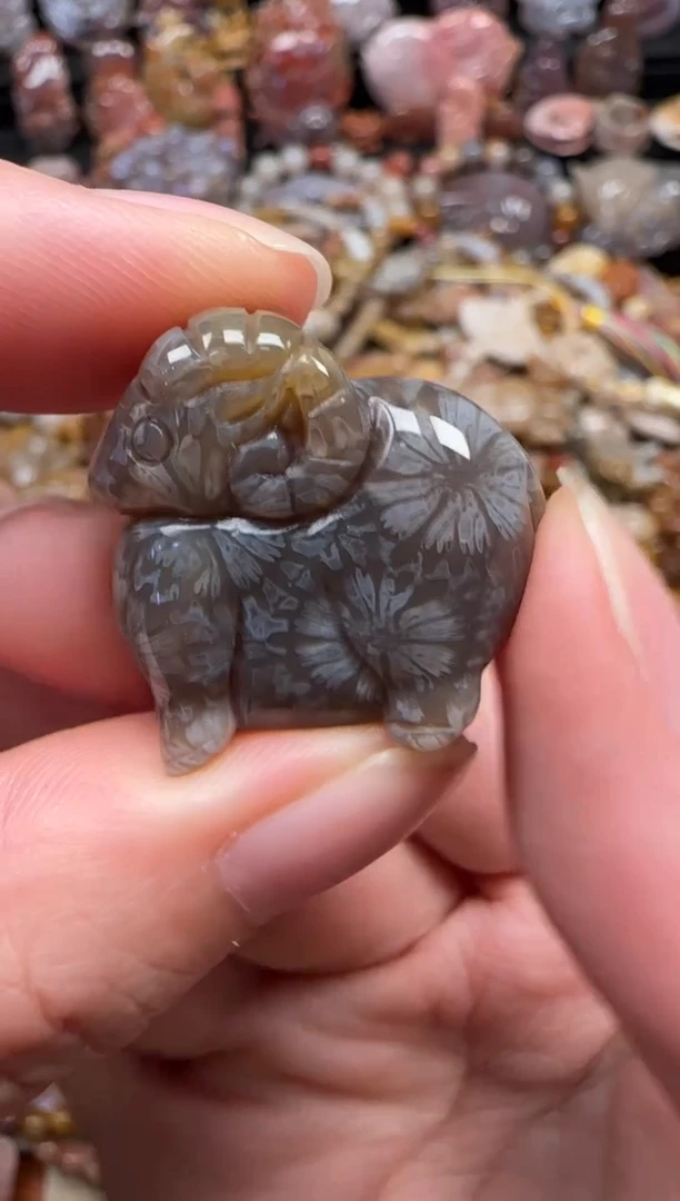 颈饰未镶嵌硅化珊瑚（珊瑚玉）134