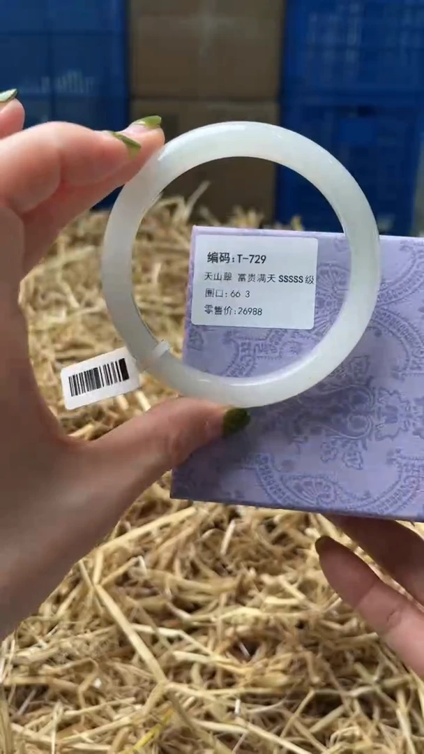 未镶嵌手镯石英质玉T729