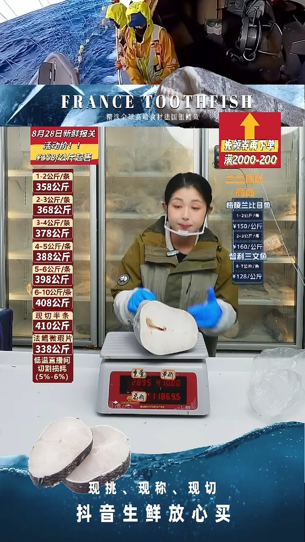 法国银鳕鱼下半2.89kg