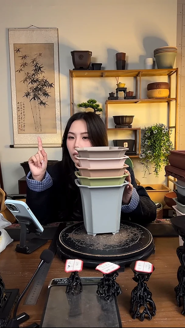 18*17.5四方尊 5只装混色