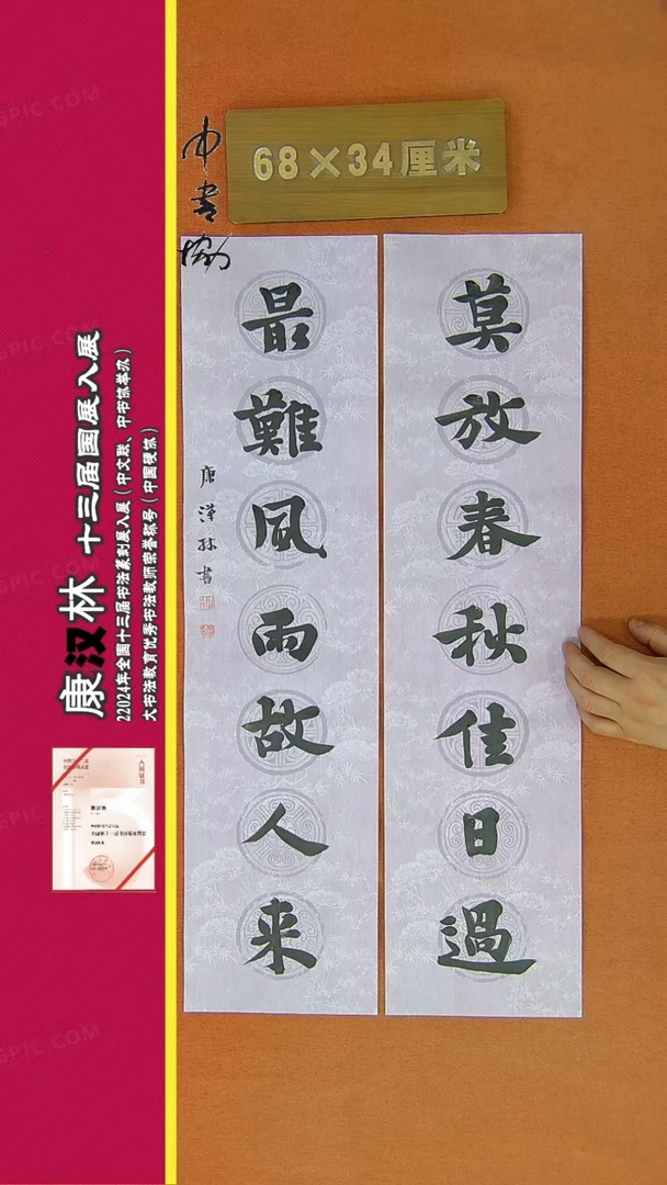 【闪购商品】书法107康汉林书法作品