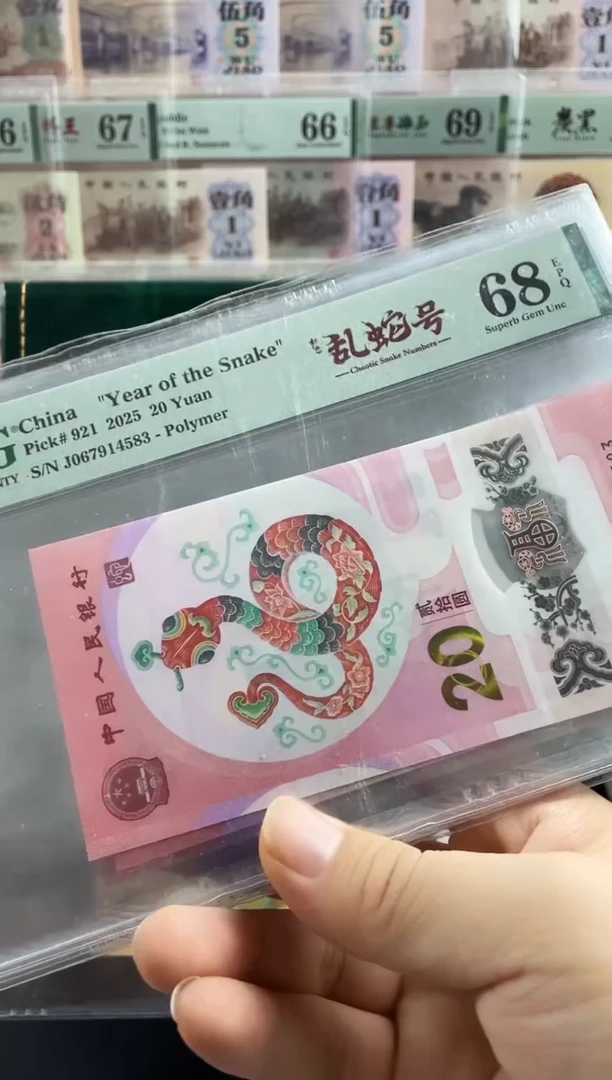 塑料蛇钞如意乱蛇号68分