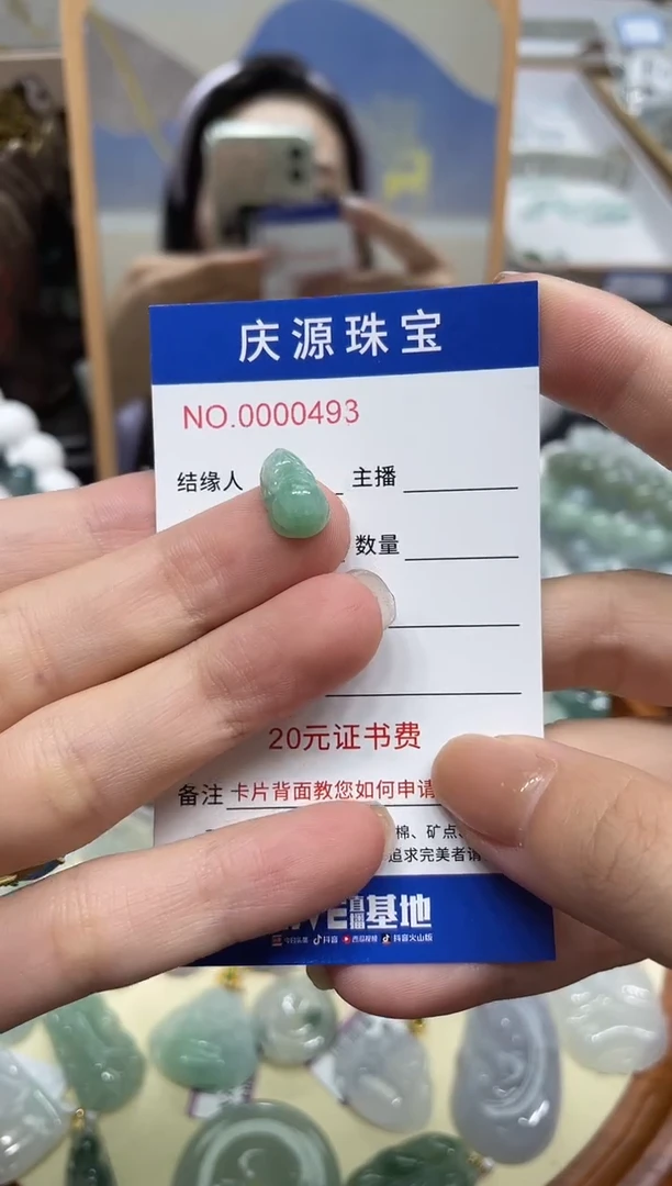 翡翠未镶嵌颈饰001