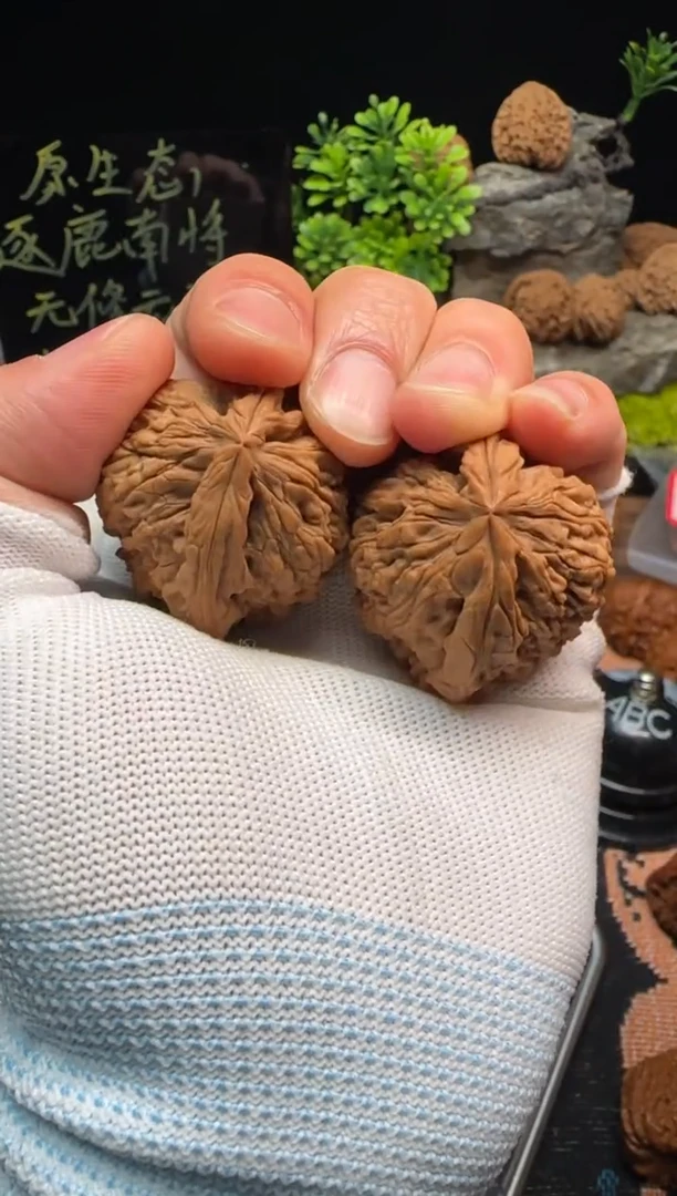 【闪购商品】文玩核桃把件南将石