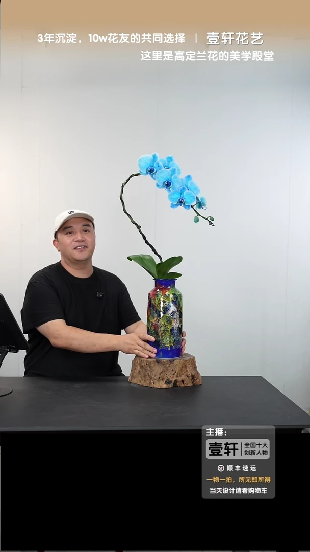 全部花朵019号链接【一物一拍】艺术盆景