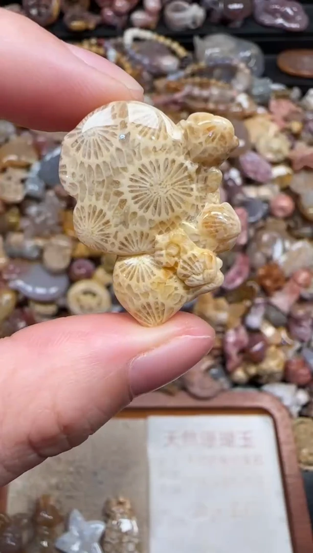 颈饰未镶嵌硅化珊瑚（珊瑚玉）149