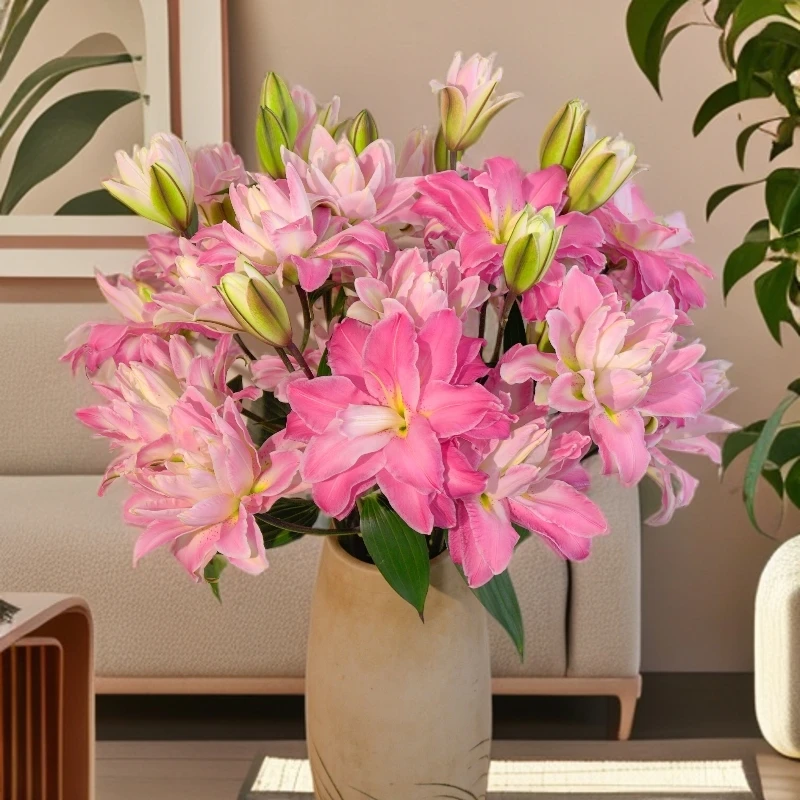 云南木木花卉莲花之境 高贵淡雅重瓣香水百合花 观赏家居鲜切花