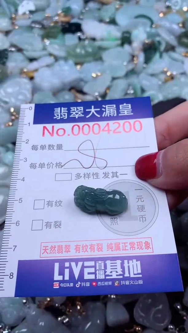 颈饰未镶嵌翡翠4200