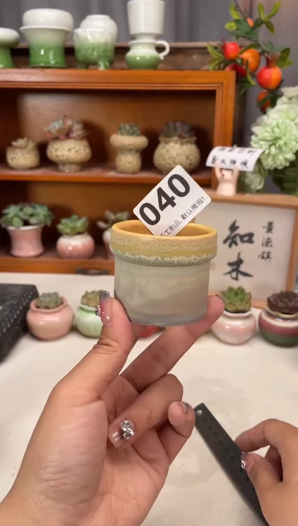 瓷片微瑕040知木小芳花盆直播编号