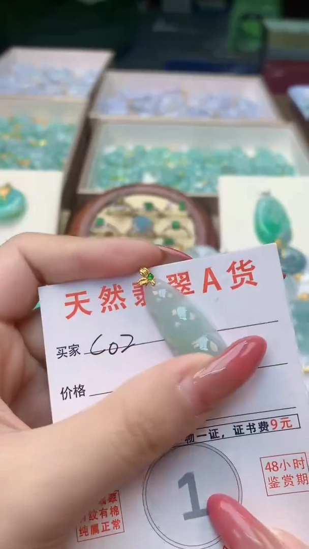 颈饰未镶嵌翡翠天然A货翡翠挂件