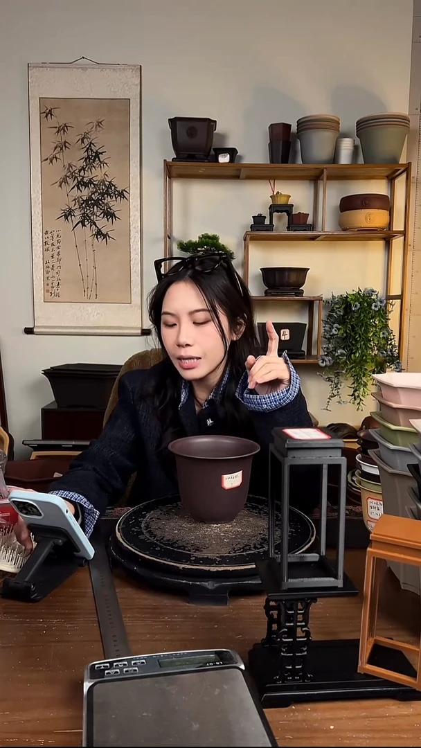 10只15口径金钟紫檀色