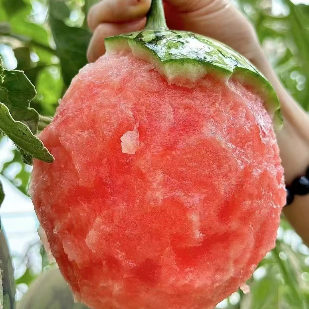 手剥小西瓜(9.9元1个)西瓜同城配贵州省