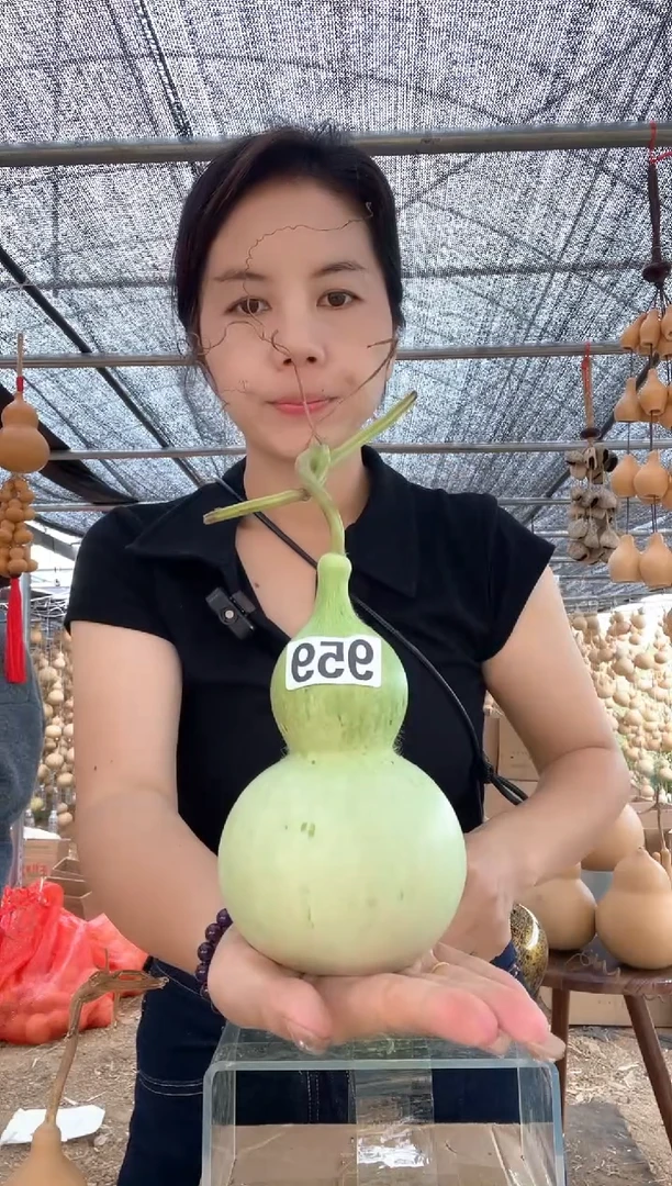 959天然葫芦摆件 一物一拍龙头不保售后微瑕疵