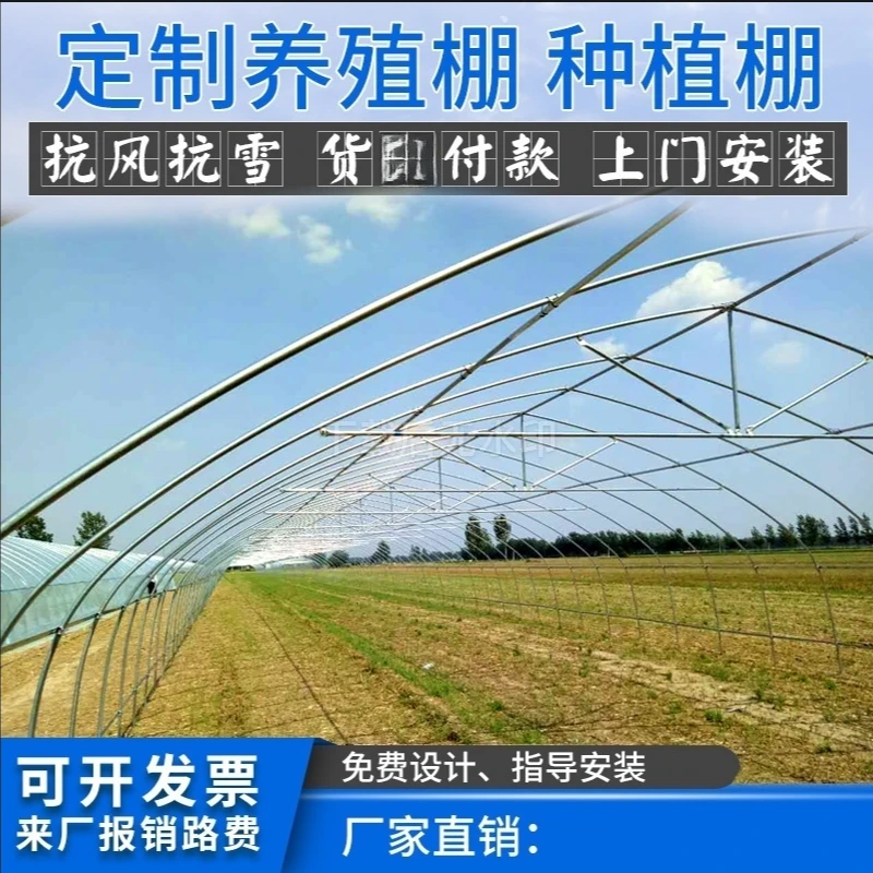 养殖种植大棚骨架家用温室养鸡羊牛养猪大棚专业蔬菜农用大棚全套