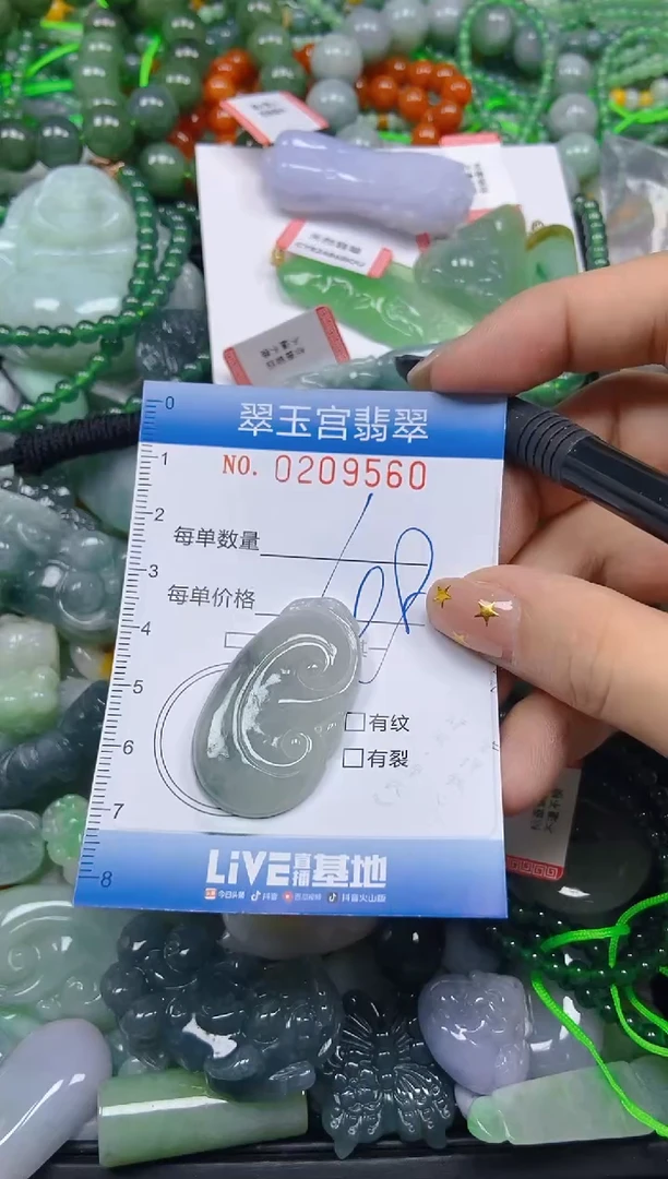 颈饰未镶嵌翡翠闪购C0209560