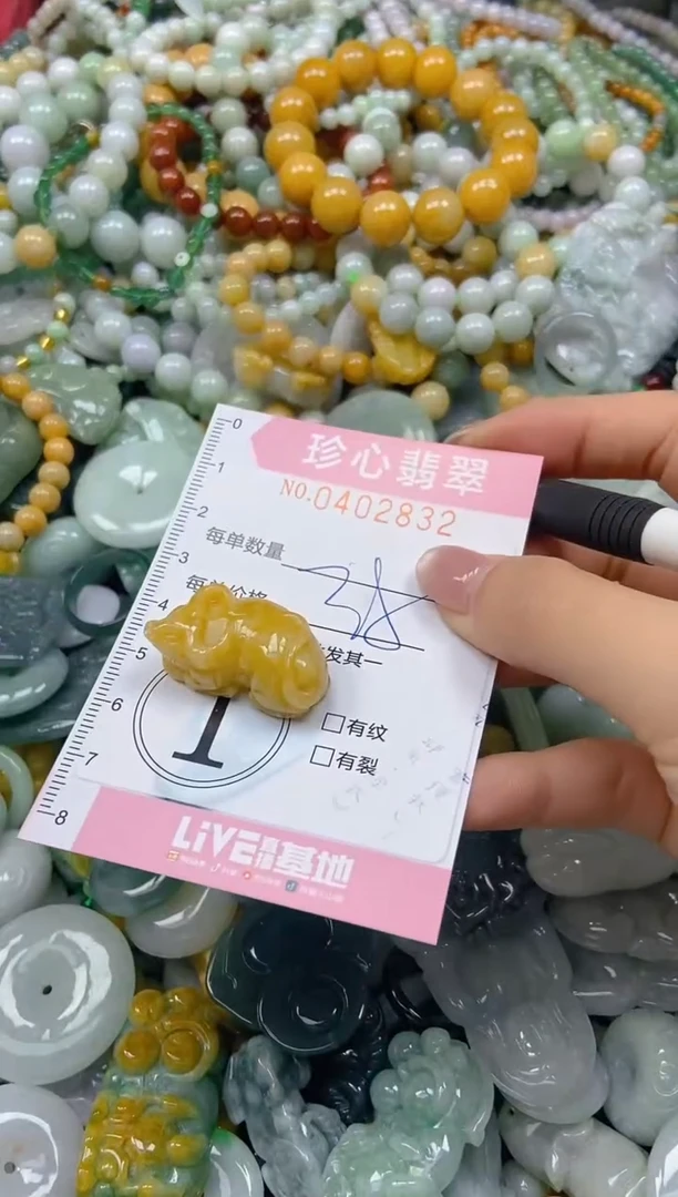 颈饰未镶嵌翡翠闪购0402832