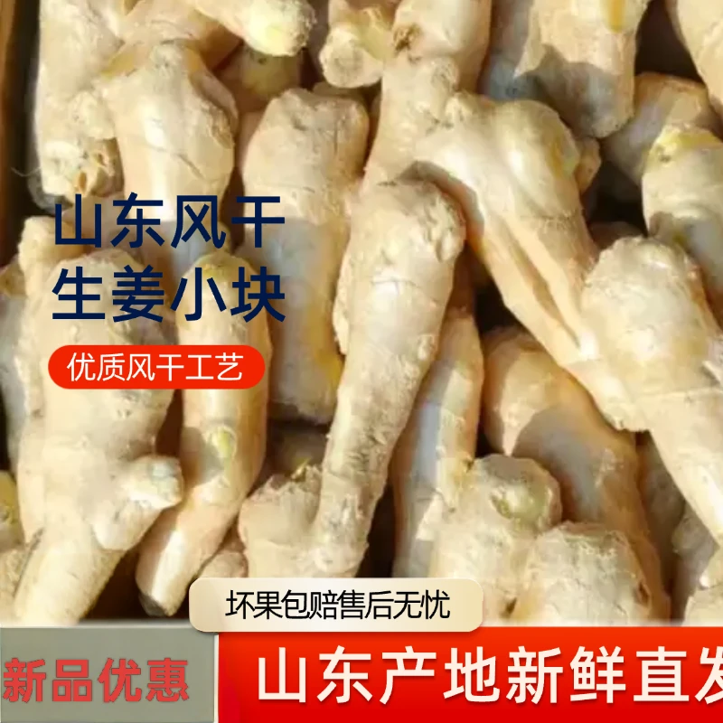 山东特产大生姜风干小姜块辛辣味浓姜香浓郁老姜正宗山东大姜新鲜