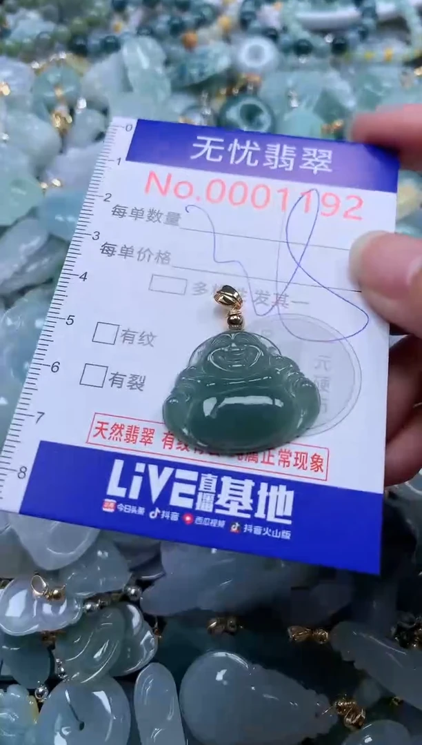 翡翠未镶嵌吊坠(不含链)1192