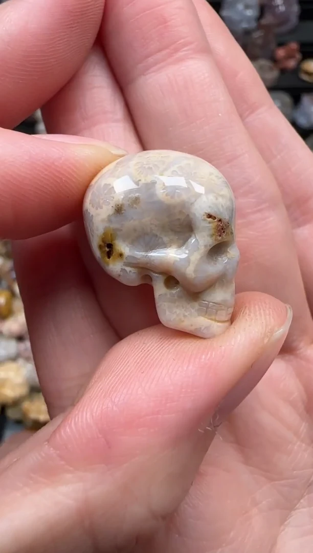 颈饰未镶嵌硅化珊瑚（珊瑚玉）342