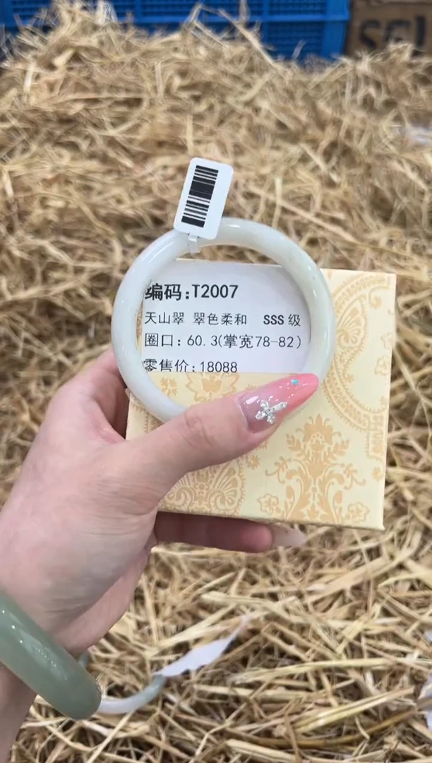 未镶嵌手镯石英质玉T2007