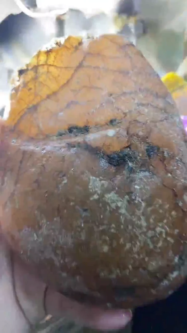 定制玛瑙你****，2000318