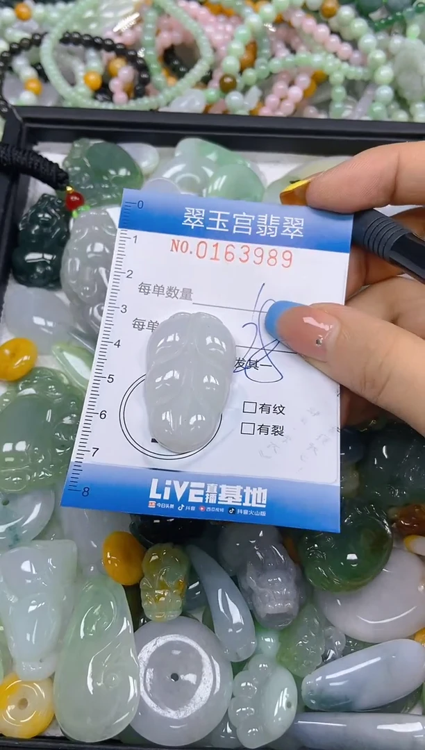 翡翠未镶嵌颈饰闪购0163989