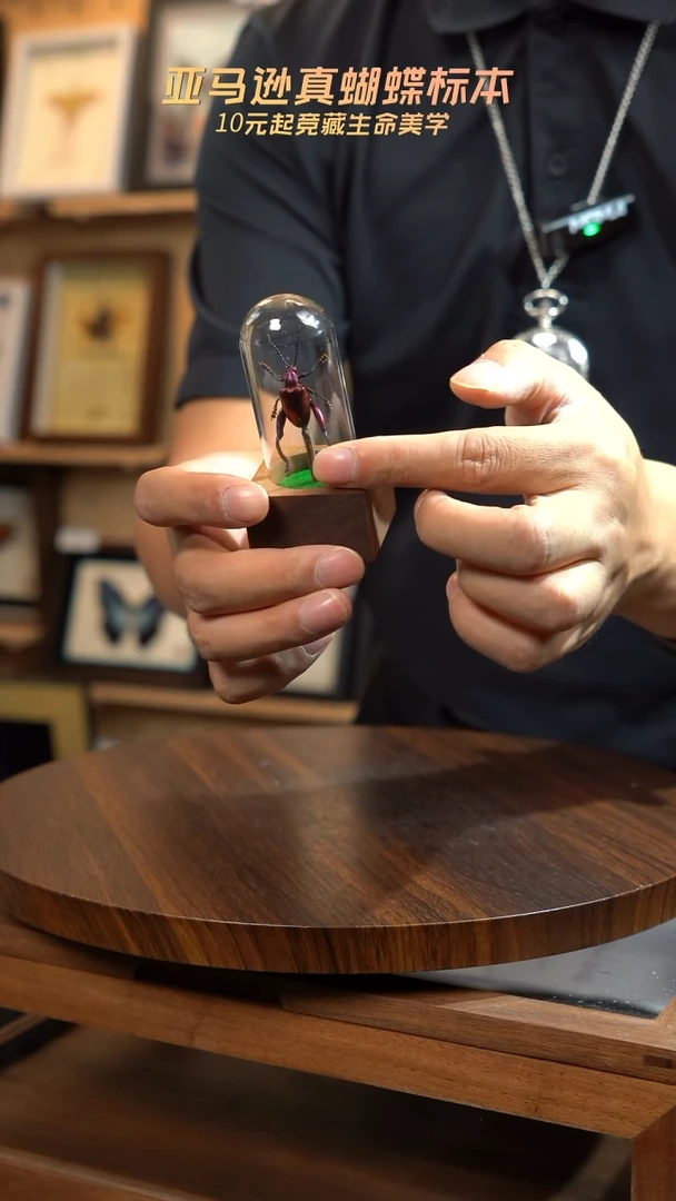 紫茎甲胡桃木试管款