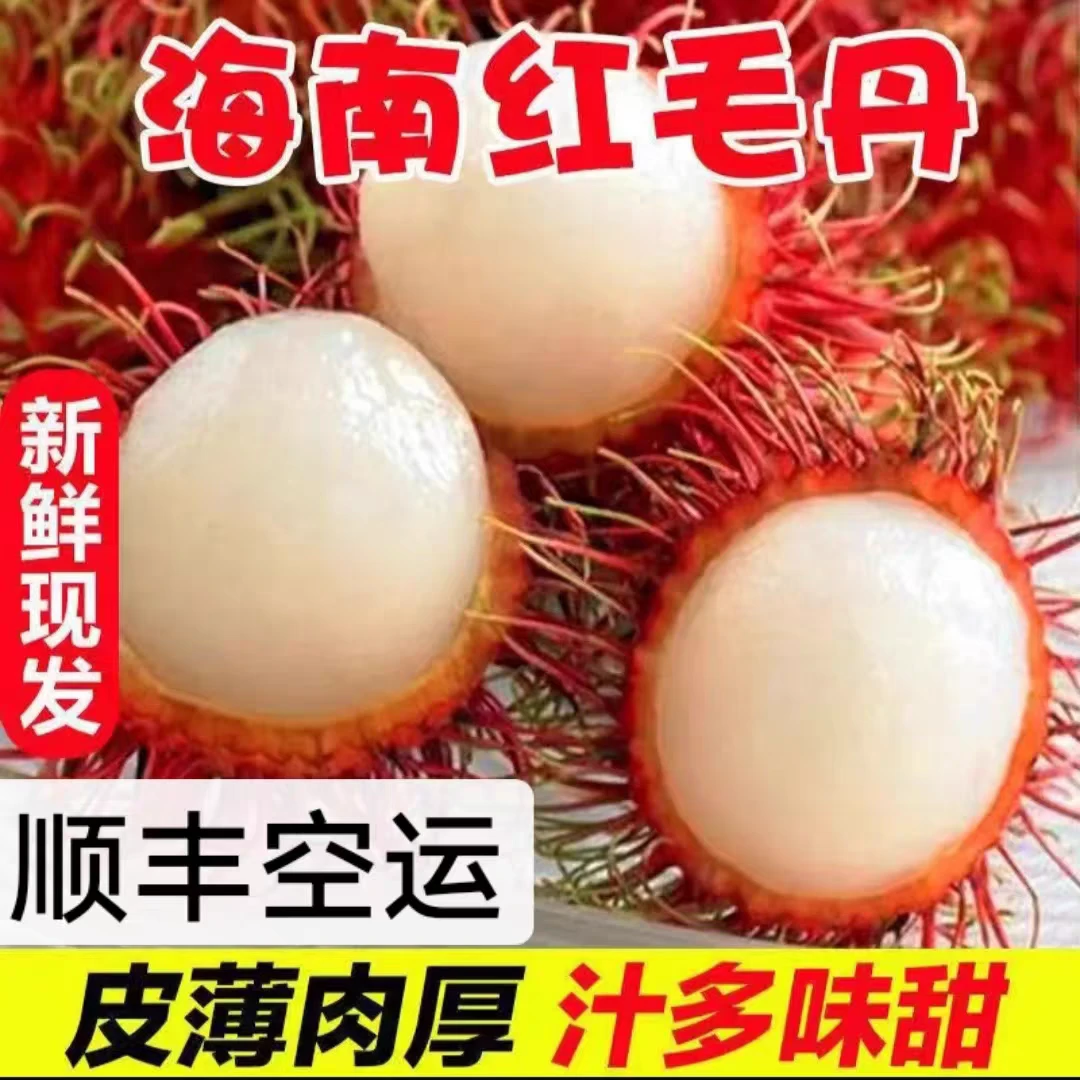 红毛丹海南热带当季新鲜水果皮薄多汁口感香甜果园现摘顺丰包邮