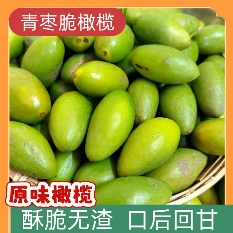 青枣脆橄榄青橄榄新橄榄潮汕青橄榄新鲜采摘煲汤推荐