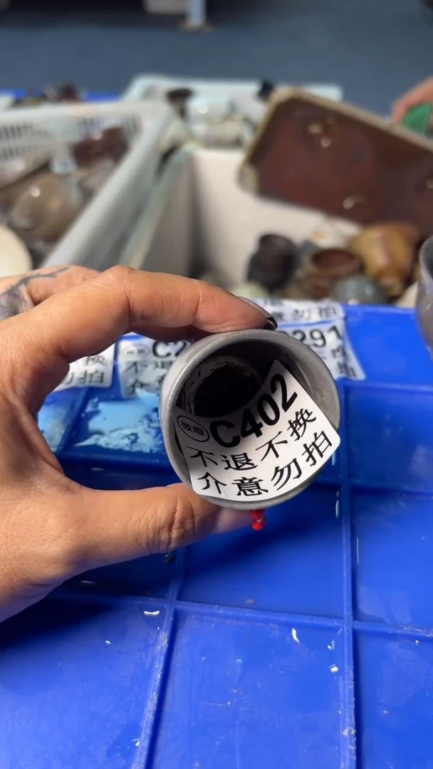 小龙堂不退不换402