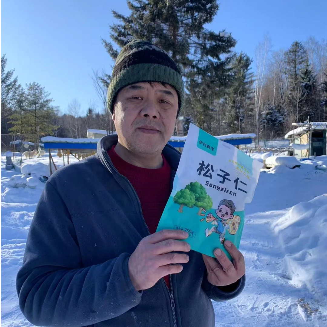 (伊村森宝）小兴安岭伊春松子仁，大颗粒原产地发货