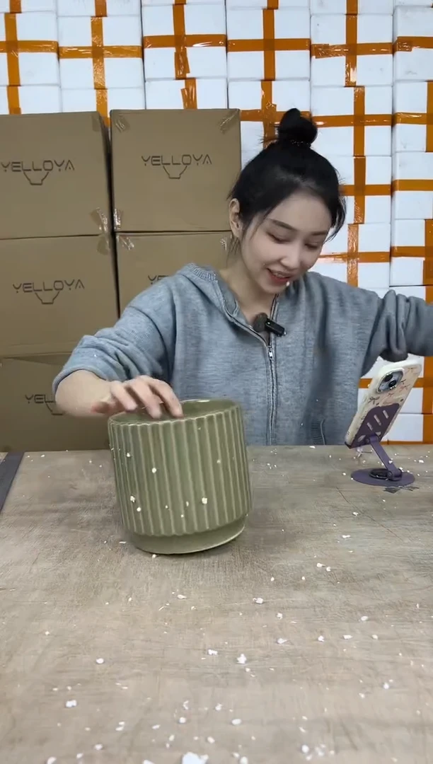 条纹草绿色15x14